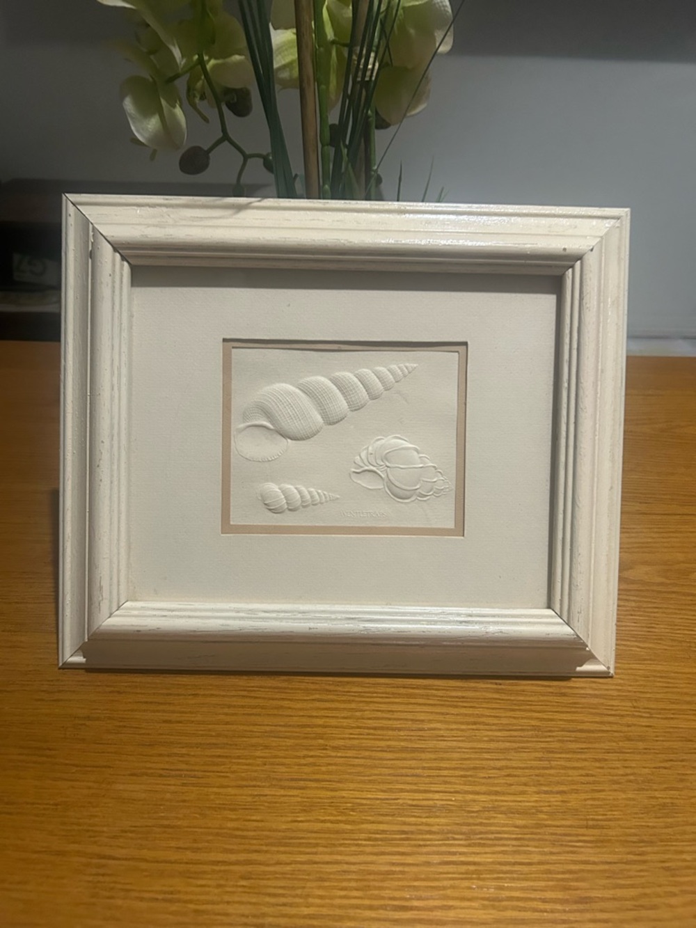 Framed Seashell WENTLETRAPS Embossed Wall Art - White